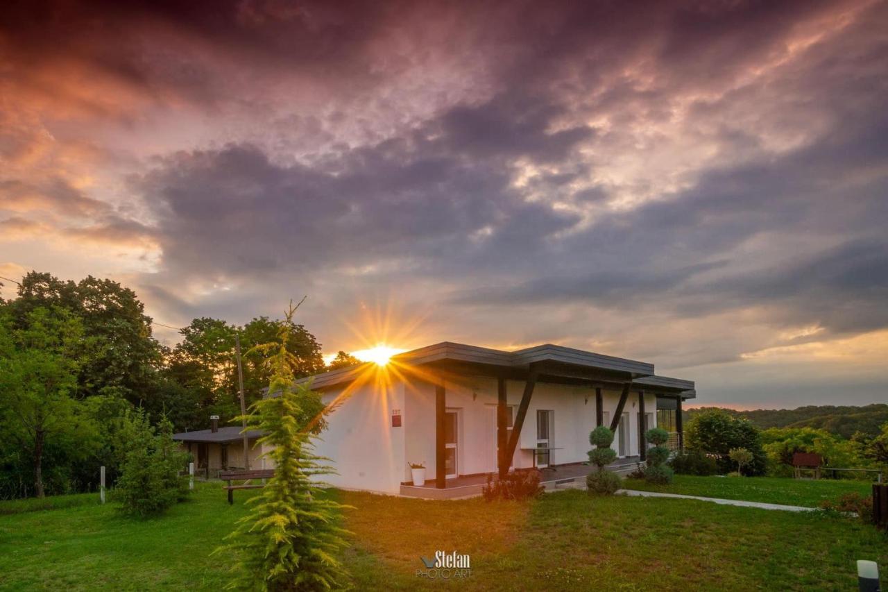 Kuce Za Odmor -Japin Breg Villa Thurdevac Ngoại thất bức ảnh