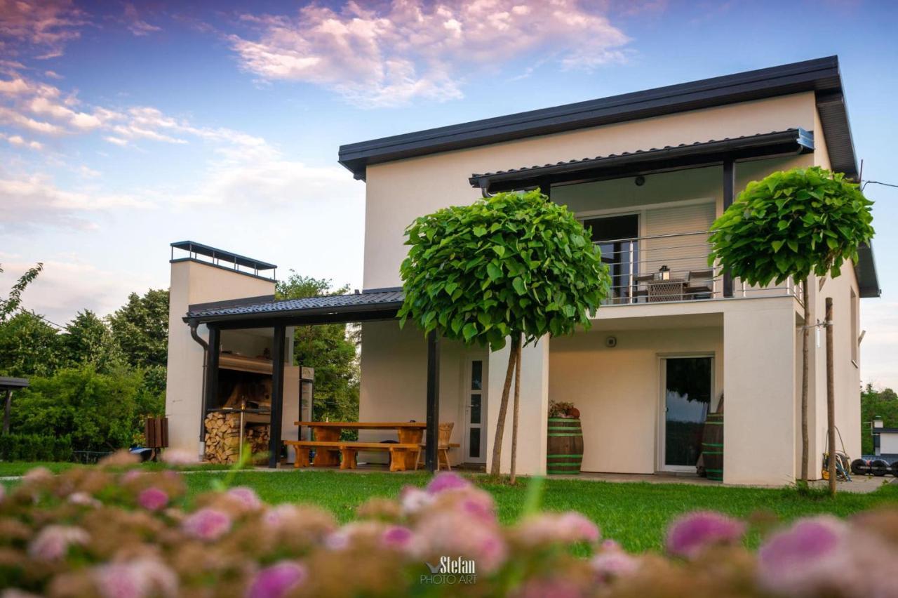 Kuce Za Odmor -Japin Breg Villa Thurdevac Ngoại thất bức ảnh
