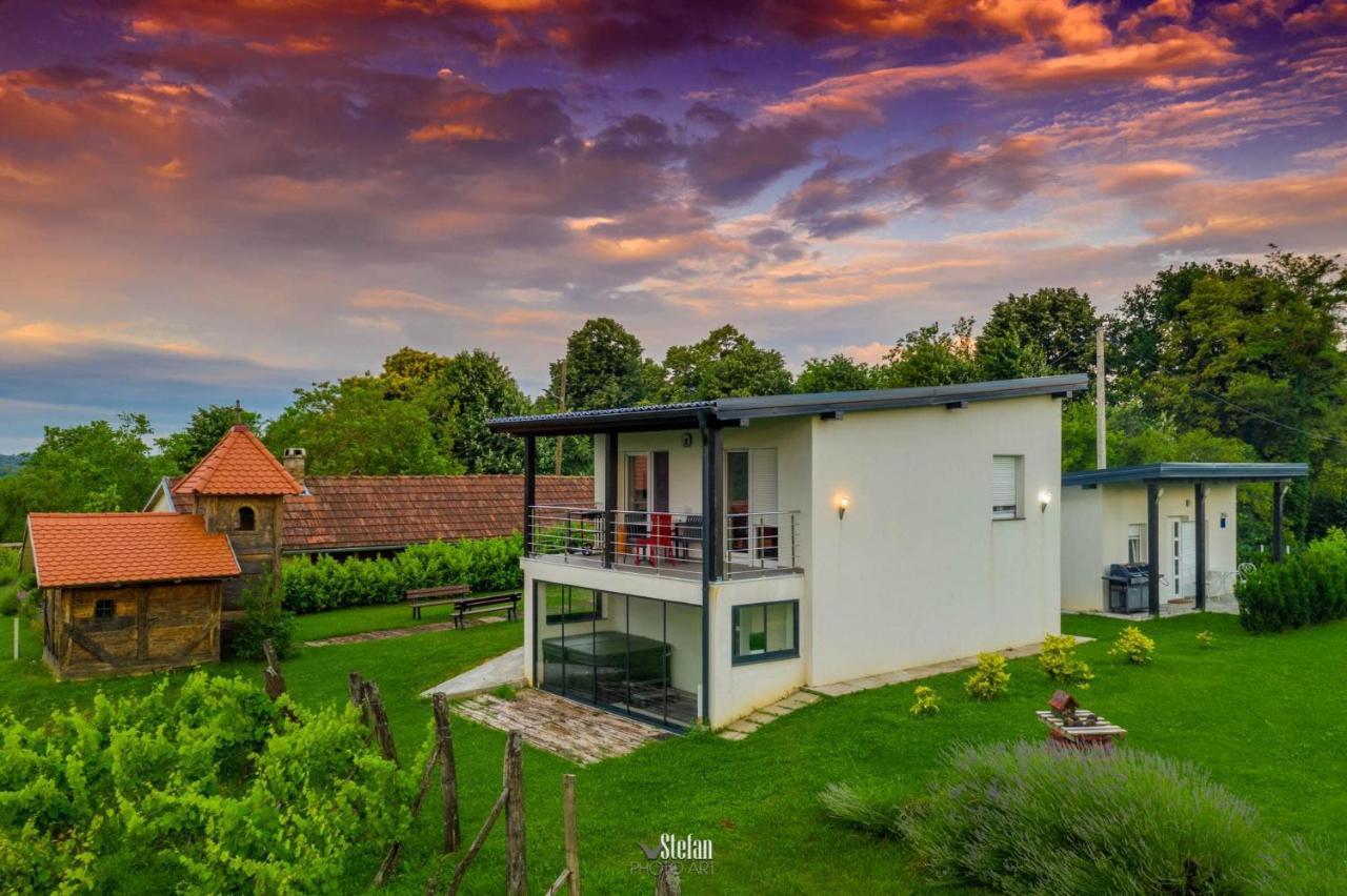 Kuce Za Odmor -Japin Breg Villa Thurdevac Ngoại thất bức ảnh
